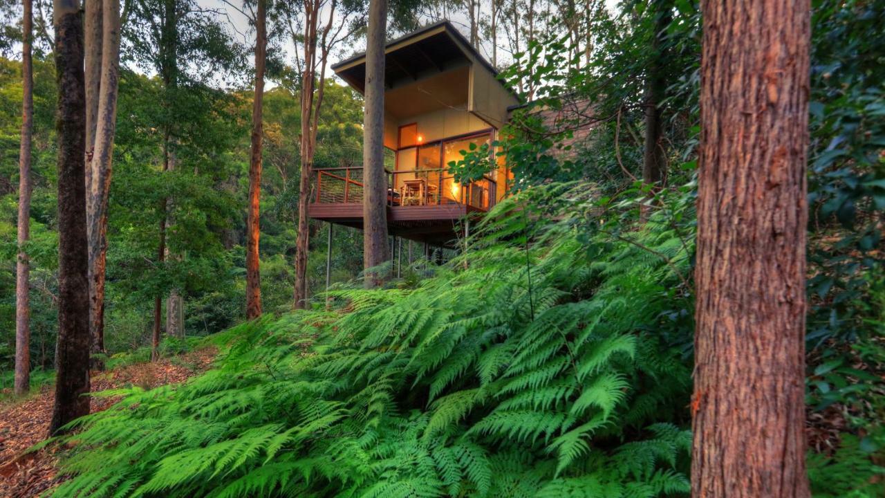 Montville Ocean View Cottages エクステリア 写真